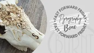 Time Lapse of Pyrography on Bone // Fast Forward Friday - Deer Skull