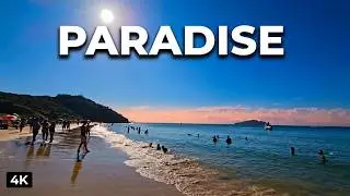 Sunset & Beach Vibes 4K | Afro House Chill Visuals