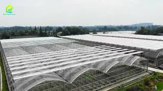 🎥 Greenhouse Project | Sichuan, China 🌱