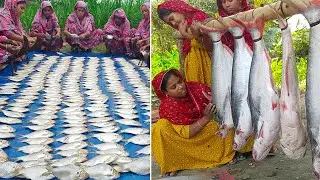 Bengali Mixed Fish Curry Recipe | Pangasius, Sorputi & Sea Barb