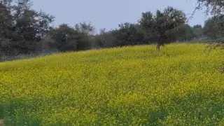 Suman jaatni is live जय जवान जय किसान🌾🌾🙏🙏