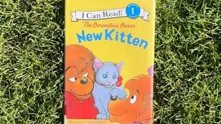 The Berenstain Bears New Kitten!