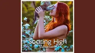 Soaring High