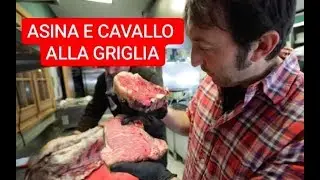 ASINA E CAVALLO ALLA GRIGLIA SUL LAGO DI GARDA!