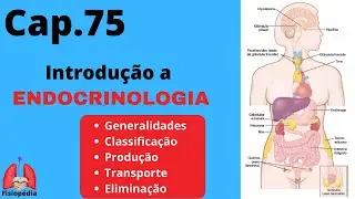 Cap.75: Introdu&ccedil;&atilde;o a endocrinologia