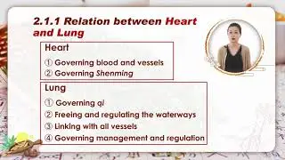An Understanding of TCM 3.9 Mutual Relations among Zang fu Organs
