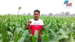 english lesson | grammar | easy spoken english | Asad sir | The Mentors | will এবং would এর ব্যবহার