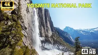 4K DRIVE-THRU Yosemite National Park along the  El Capitan Meadow.