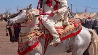 موسم أبي الجعد 2024(2)