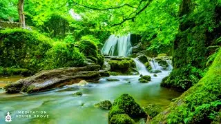 3 HOURS HO&rsquo;OPONOPONO SUBLIMINAL PRAYER WITH FOREST NATURE STREAM AMBIENCE || Clear All Negativity