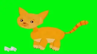 KLT Wild Animal Sound Song Green Screen