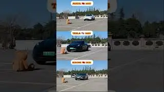 2025 AEB Braking Test: AVATR 🇨🇳 vs. TESLA 🇺🇸 vs. XIAOMI 🇨🇳