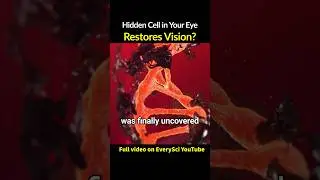 A Hidden Cell That Could Restore Vision