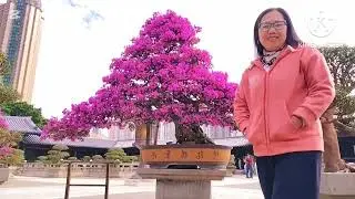 Buddhist Temple and Fully manicured garden #highlights #lifeisbutadream #travel #discovery 