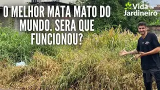 Testamos na pr&aacute;tica o melhor mata mato do mundo! (Ser&aacute; que deu certo? Veja o resultado ap&oacute;s 30 dias)