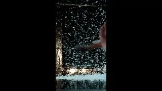 Swan Lake performance of Sz&eacute;kesfeh&eacute;rv&aacute;r Ballet  #shorts