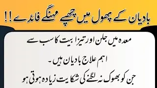Badiyan k Phol me chupy mehngy faedy || بادیان کے پھول کے فوائد || Health Clinic