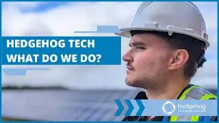 More Than Consulting Engineers | Hedgehog Technologies