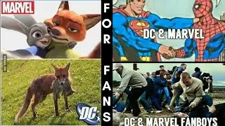 MARVEL VS DC MEMES (only for FANS)