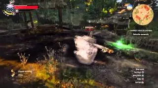 Tge witcher 3 the well ghost
