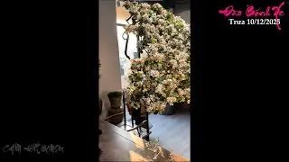 Pure Healthy Peach Tree Exchange for Tet at noon on December 10, 2025