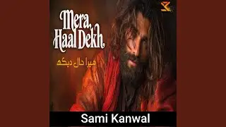 Zara Aake Mera Haal Dekh Main Ban Gaya Hoon Tera Deewana A Sufi Masterpiece