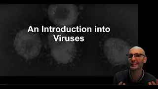 An introduction into viruses
