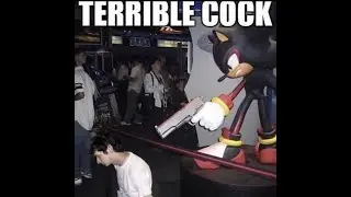Shadow The Hedgehog Opening but in the worst quality I could make possible