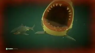 [VOD 0382] 