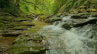 The beauty of small stream sound #ASMR #WhiteNoise #SmallStream #Meditation #DeepSleep #NatureSounds