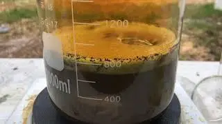 Gold filled pocket watch refining pt2