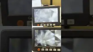 EGL vs GIA Diamond Grading: Shocking Results!