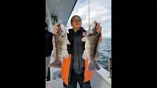 Party Boat Blackfish Tautog Sheepshead Bay - Ocean Eagle V