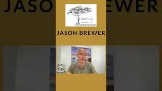Did You See Episode 348 with Jason Brewer, CEO of Marula Mining? #Shorts