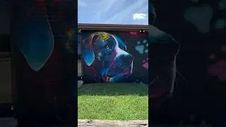 Carolina Virginia Animal Hospital #cat #dog #veterinarian #streetart