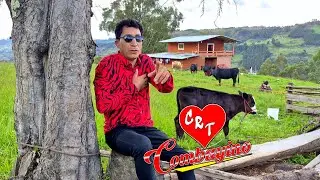 CARLOMAGNO RONCAL_2026_QUE SE VAYA-Official Youtube