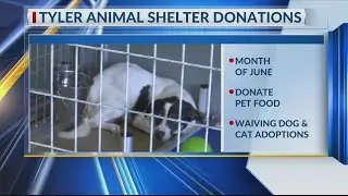Tyler animal shelter waives adoption fees, seeks food donations