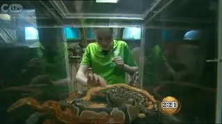Fort Boyard: Ultimate Challenge 2014. эпизод 3.