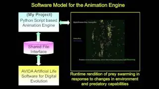 Visualization of Swarming Co-evolution for Digital Prey and Predators