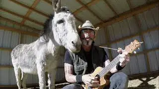Hazel the Donkey 'The Donkey Strutt' with Christopher Ameruoso