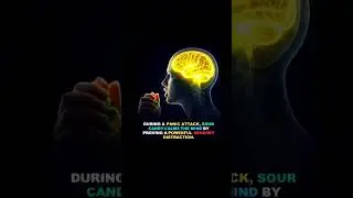 #shortvideo#short#shortsfeed#shortvideo#trending#panicattack#health#rescue#medical#research