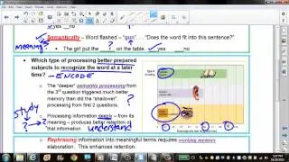 Memory AP Encoding   Semantic