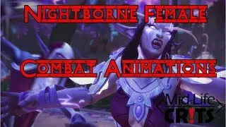 World of Warcraft - Nightborne Female Combat Animations