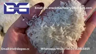 FRK Fortificate rice Kernel Extruder Machine Made in China Jinan DG