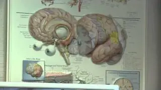 Mediaplanet Epilepsie