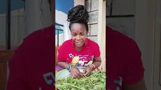 AKALICHE VLOGS KENYA  is live