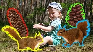 Stanley's adventures 1# (forest ,pinecone, squirrel and little boy)