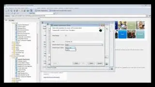 Accounting Software Solutions