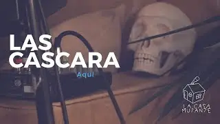 Las C&aacute;scara - Aqu&iacute; - La Casa Mutante