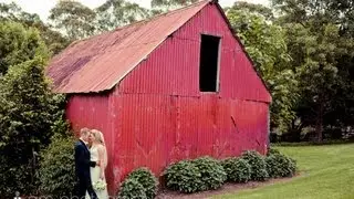 Hillary & Todd - Country Wedding, Camden, NSW